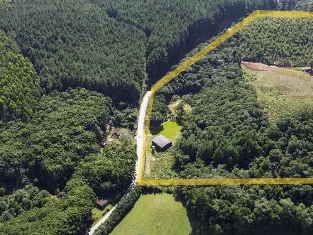Sítio e chácara venda em Região Geográfica Imediata de Curitiba, Região Metropolitana de Curitiba
