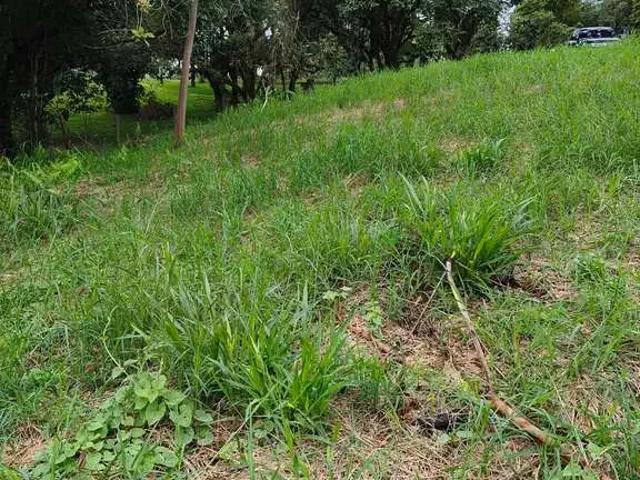 Sítio e chácara venda em Região Geográfica Imediata de Curitiba, Região Metropolitana de Curitiba