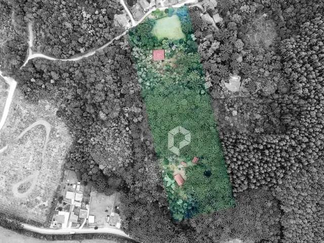 Sítio e chácara venda em Bateias, Campo Largo