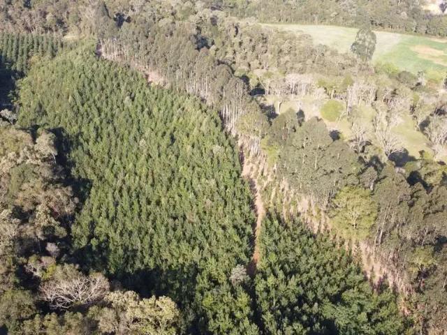 Sítio e chácara venda em Região Geográfica Imediata de Curitiba, Região Metropolitana de Curitiba