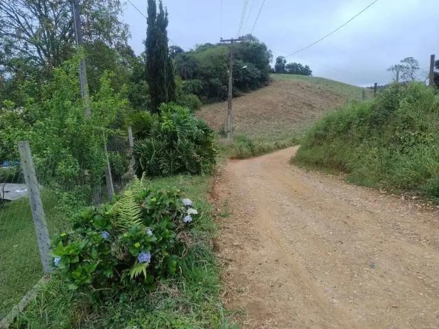 Sítio e chácara venda em Região Geográfica Imediata de Curitiba, Região Metropolitana de Curitiba