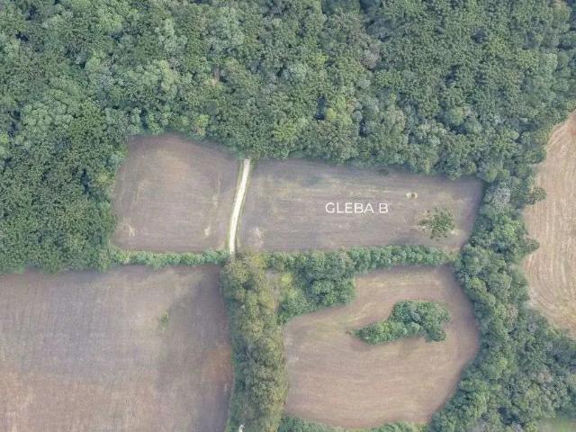 Sítio e chácara venda em Região Geográfica Imediata de Curitiba, Região Metropolitana de Curitiba