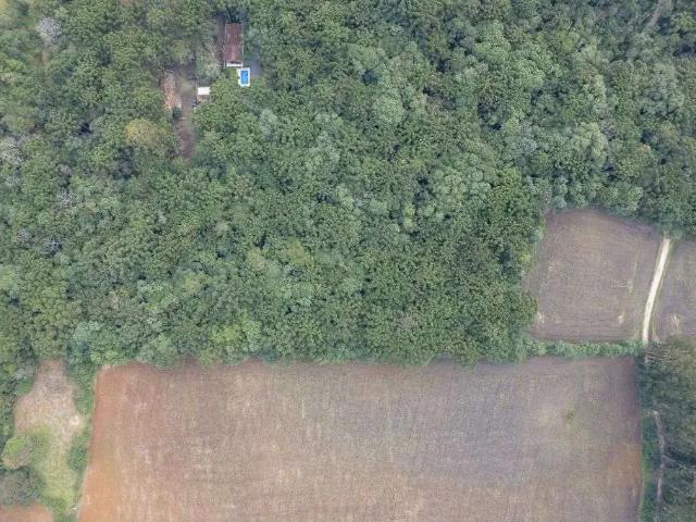 Sítio e chácara venda em Região Geográfica Imediata de Curitiba, Região Metropolitana de Curitiba