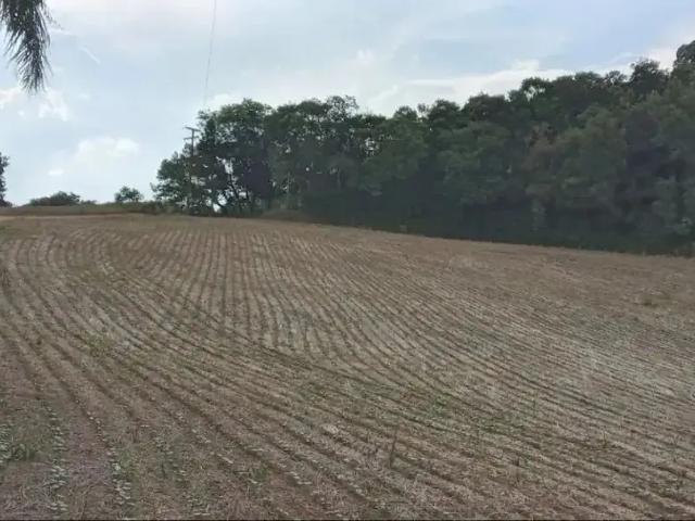 Sítio e chácara venda em Região Geográfica Imediata de Curitiba, Região Metropolitana de Curitiba