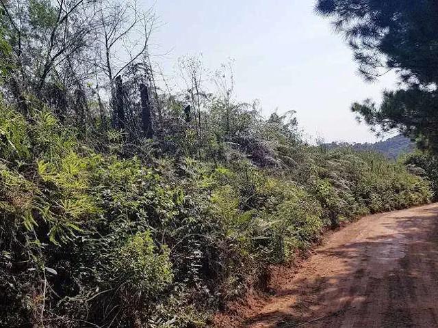 Sítio e chácara venda em Região Geográfica Imediata de Curitiba, Região Metropolitana de Curitiba