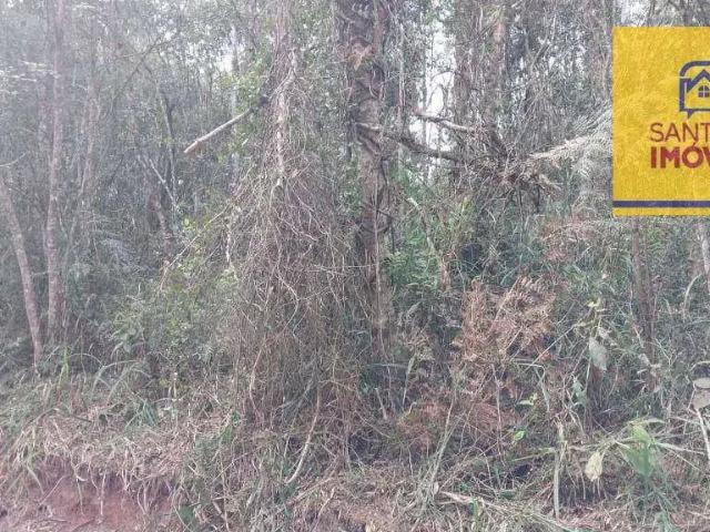 Sítio e chácara venda em Região Geográfica Imediata de Curitiba, Região Metropolitana de Curitiba