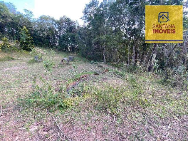 Sítio e chácara venda em Bateias, Campo Largo