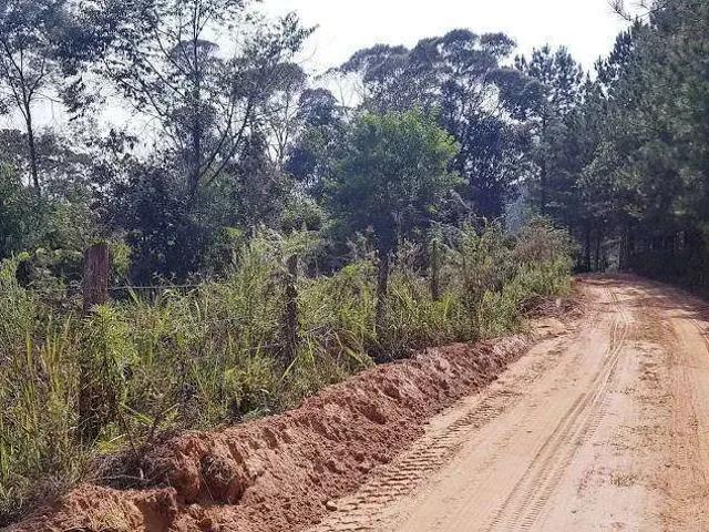 Sítio e chácara venda em Região Geográfica Imediata de Curitiba, Região Metropolitana de Curitiba