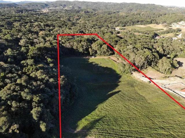 Sítio e chácara venda em Região Geográfica Imediata de Curitiba, Região Metropolitana de Curitiba