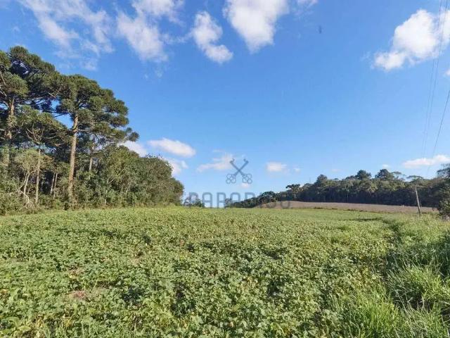 Sítio e chácara venda em Região Geográfica Imediata de Curitiba, Região Metropolitana de Curitiba