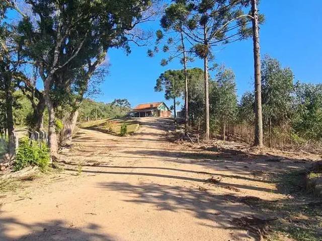 Sítio e chácara venda em Região Geográfica Imediata de Curitiba, Região Metropolitana de Curitiba