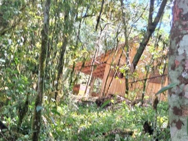 Sítio e chácara venda em Bateias, Campo Largo