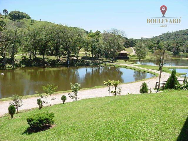Sítio e chácara venda em Região Geográfica Imediata de Curitiba, Região Metropolitana de Curitiba