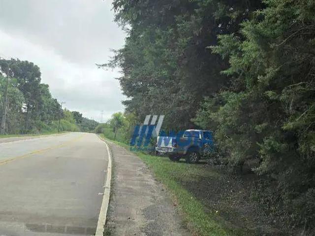Sítio e chácara venda em Região Geográfica Imediata de Curitiba, Região Metropolitana de Curitiba