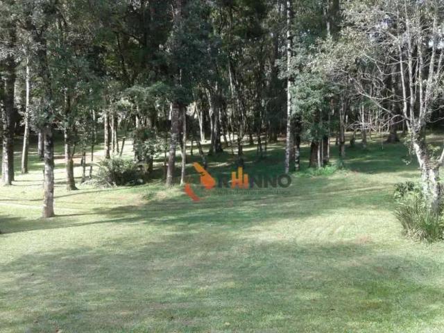 Sítio e chácara venda em Centro, Campo Largo