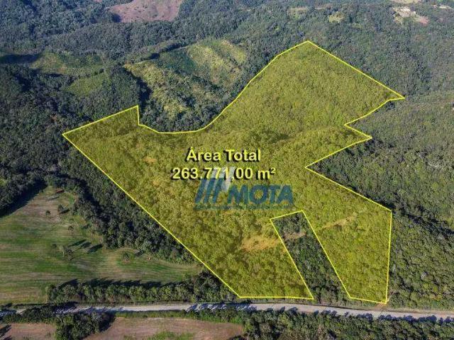 Sítio e chácara venda em Região Geográfica Imediata de Curitiba, Região Metropolitana de Curitiba