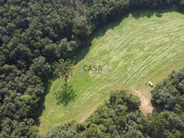 Sítio e chácara venda em Região Geográfica Imediata de Curitiba, Região Metropolitana de Curitiba