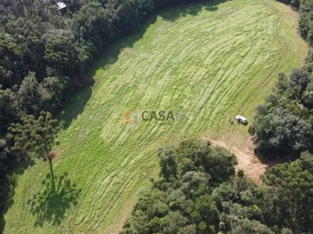 Sítio e chácara venda em Região Geográfica Imediata de Curitiba, Região Metropolitana de Curitiba