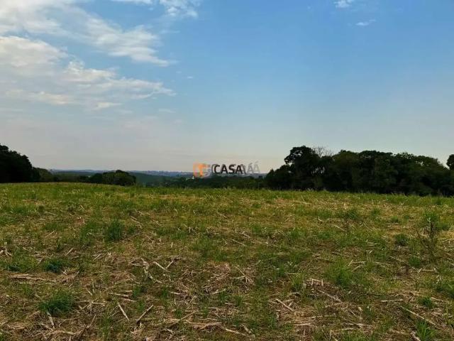 Sítio e chácara venda em Região Geográfica Imediata de Curitiba, Região Metropolitana de Curitiba