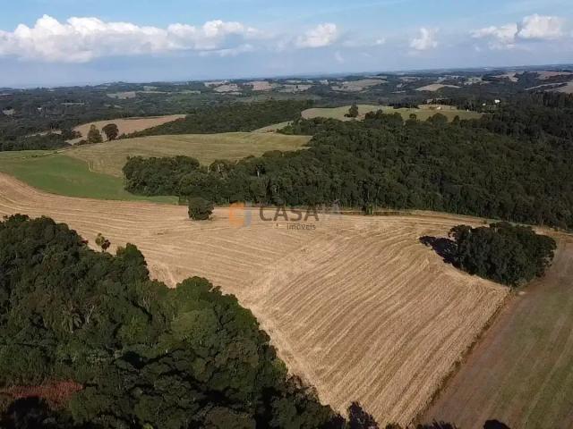 Sítio e chácara venda em Região Geográfica Imediata de Curitiba, Região Metropolitana de Curitiba