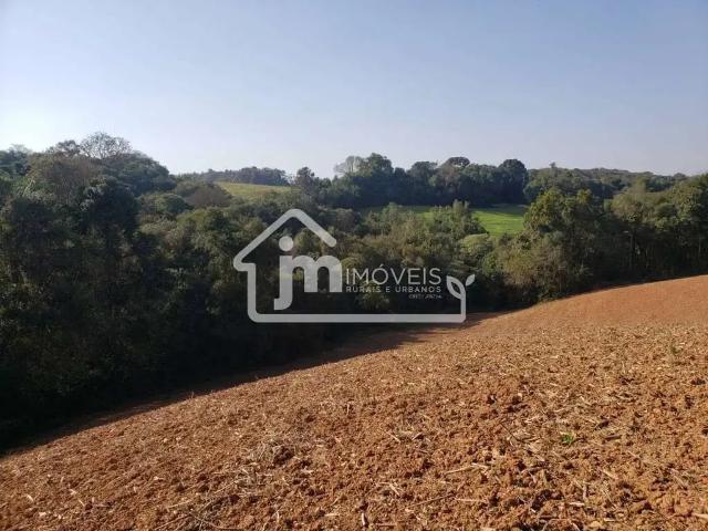 Sítio e chácara venda em Região Geográfica Imediata de Curitiba, Região Metropolitana de Curitiba