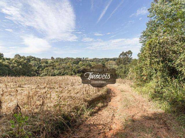 Sítio e chácara venda em Balbino Cunha, Campo Largo