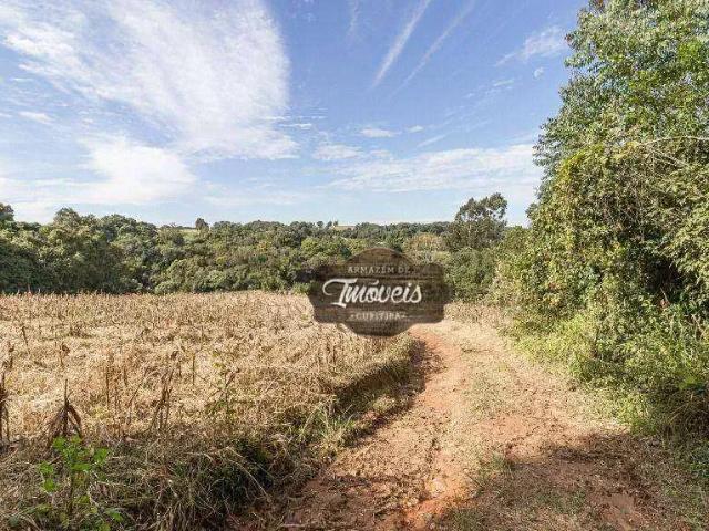 Sítio e chácara venda em Região Geográfica Imediata de Curitiba, Região Metropolitana de Curitiba