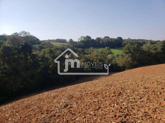 Sítio e chácara venda em Região Geográfica Imediata de Curitiba, Região Metropolitana de Curitiba