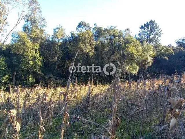 Sítio e chácara venda em Região Geográfica Imediata de Curitiba, Região Metropolitana de Curitiba
