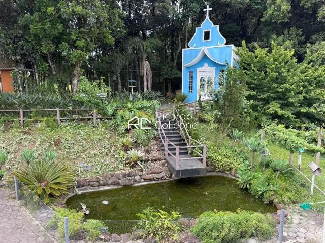 Sítio e chácara venda em Ferraria, Campo Largo