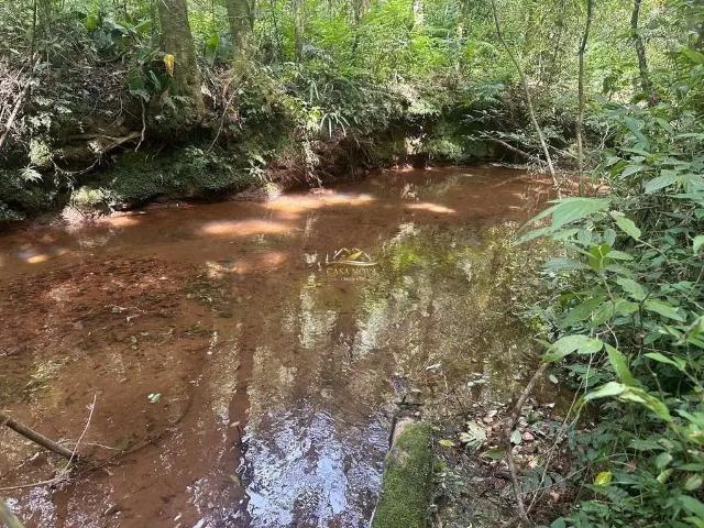 Sítio e chácara venda em Região Geográfica Imediata de Curitiba, Região Metropolitana de Curitiba