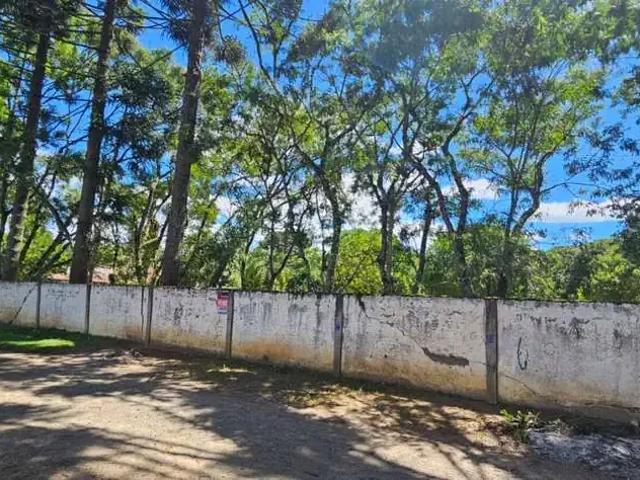 Sítio e chácara venda em Região Geográfica Imediata de Curitiba, Região Metropolitana de Curitiba