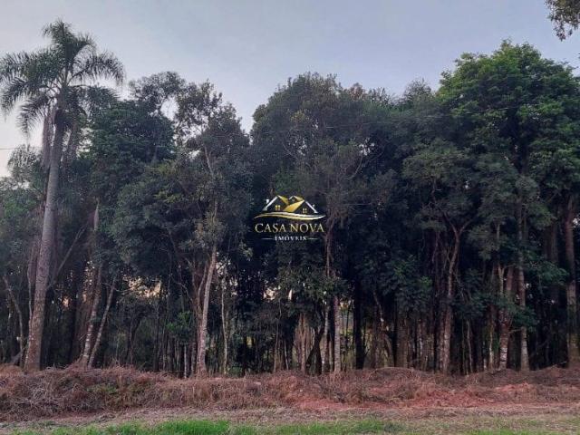 Sítio e chácara venda em Região Geográfica Imediata de Curitiba, Região Metropolitana de Curitiba