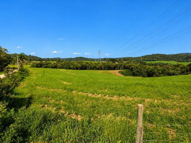 Sítio e chácara venda em Incepa, Campo Largo