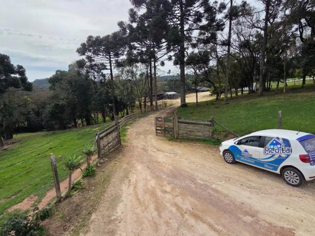 Sítio e chácara venda em Incepa, Campo Largo