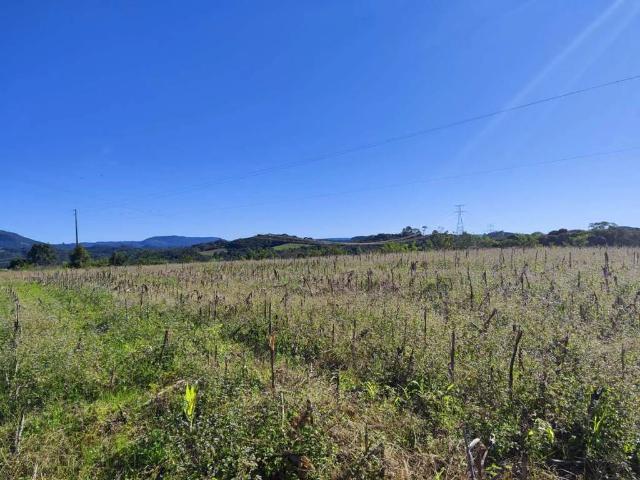 Sítio e chácara venda em Incepa, Campo Largo