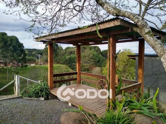 Sítio e chácara venda em Região Geográfica Imediata de Curitiba, Região Metropolitana de Curitiba
