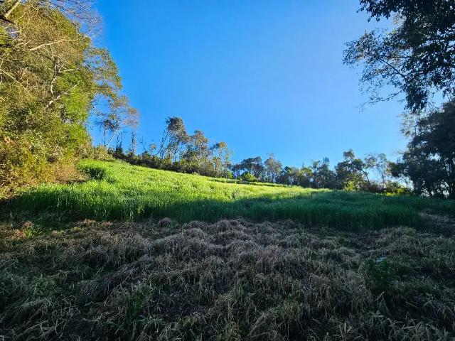 Sítio e chácara venda em Região Geográfica Imediata de Curitiba, Região Metropolitana de Curitiba