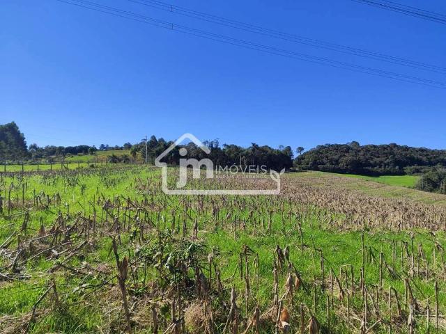 Sítio e chácara venda em Incepa, Campo Largo