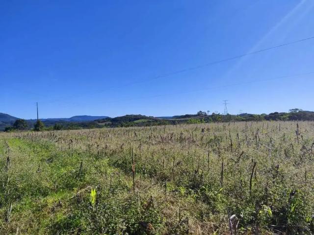 Sítio e chácara venda em Região Geográfica Imediata de Curitiba, Região Metropolitana de Curitiba