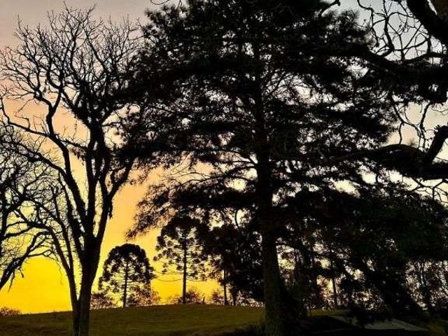 Sítio e chácara venda em Região Geográfica Imediata de Curitiba, Região Metropolitana de Curitiba