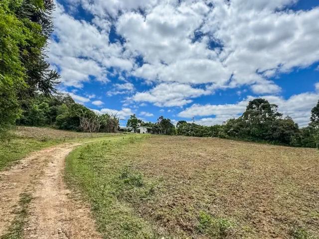 Sítio e chácara venda em Região Geográfica Imediata de Curitiba, Região Metropolitana de Curitiba