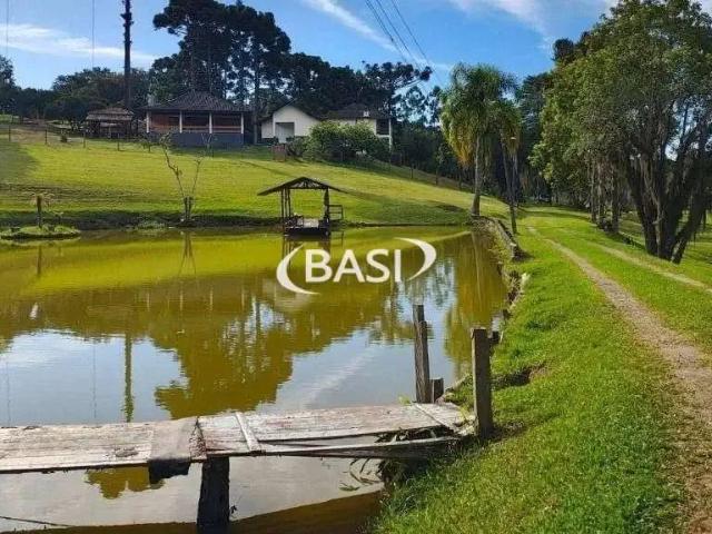 Sítio e chácara venda em Ferraria, Campo Largo
