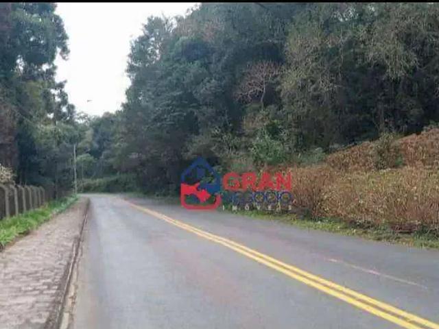 Sítio e chácara venda em Incepa, Campo Largo