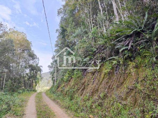 Sítio e chácara venda em Região Geográfica Imediata de Curitiba, Região Metropolitana de Curitiba