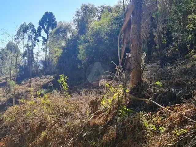 Sítio e chácara venda em Região Geográfica Imediata de Curitiba, Região Metropolitana de Curitiba