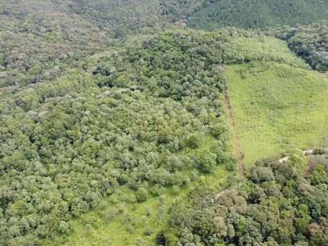 Sítio e chácara venda em Região Geográfica Imediata de Curitiba, Região Metropolitana de Curitiba