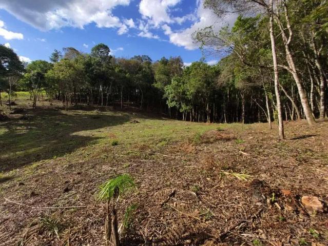 Sítio e chácara venda em Região Geográfica Imediata de Curitiba, Região Metropolitana de Curitiba