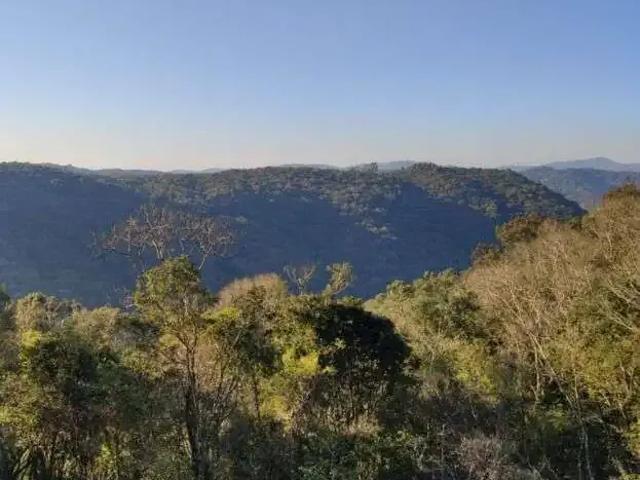 Sítio e chácara venda em Região Geográfica Imediata de Curitiba, Região Metropolitana de Curitiba