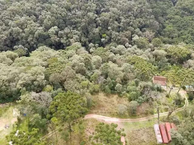 Sítio e chácara venda em Região Geográfica Imediata de Curitiba, Região Metropolitana de Curitiba